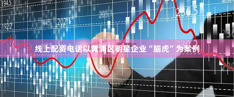 线上配资电话以黄浦区明星企业“脑虎”为案例