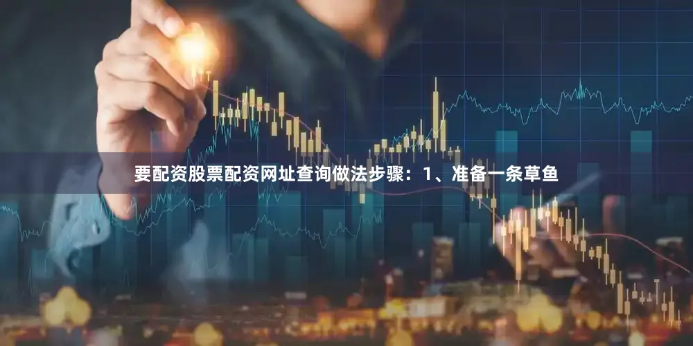 要配资股票配资网址查询做法步骤：1、准备一条草鱼