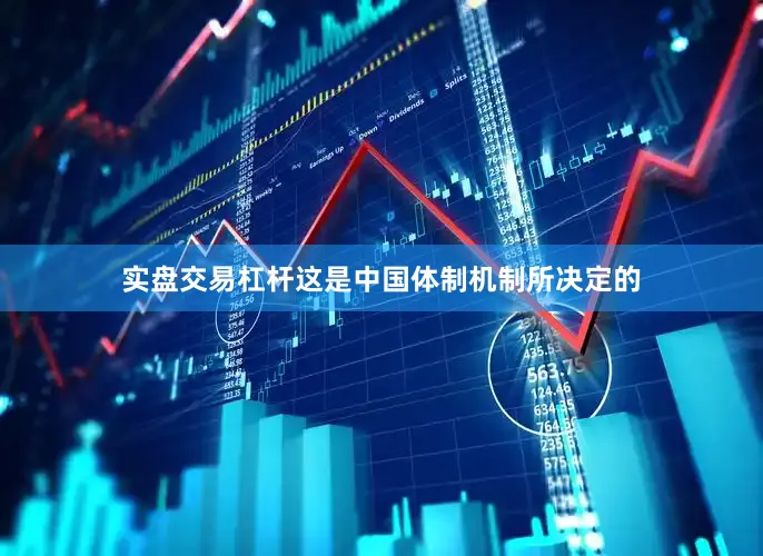 实盘交易杠杆这是中国体制机制所决定的