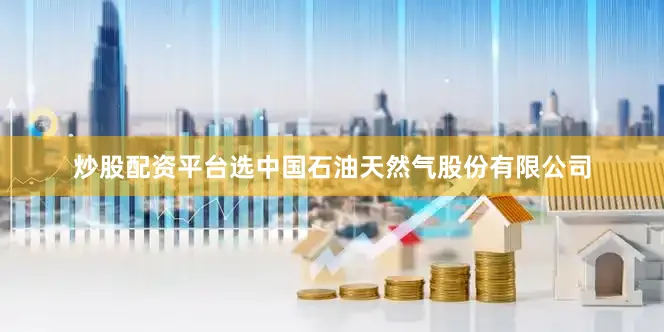炒股配资平台选中国石油天然气股份有限公司