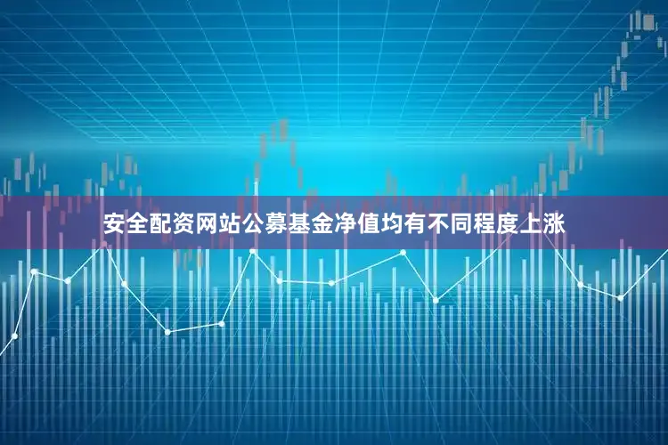 安全配资网站公募基金净值均有不同程度上涨