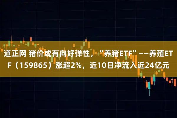 道正网 猪价或有向好弹性，“养猪ETF”——养殖ETF（159865）涨超2%，近10日净流入近24亿元