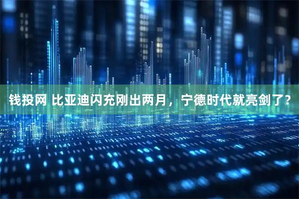 钱投网 比亚迪闪充刚出两月，宁德时代就亮剑了？